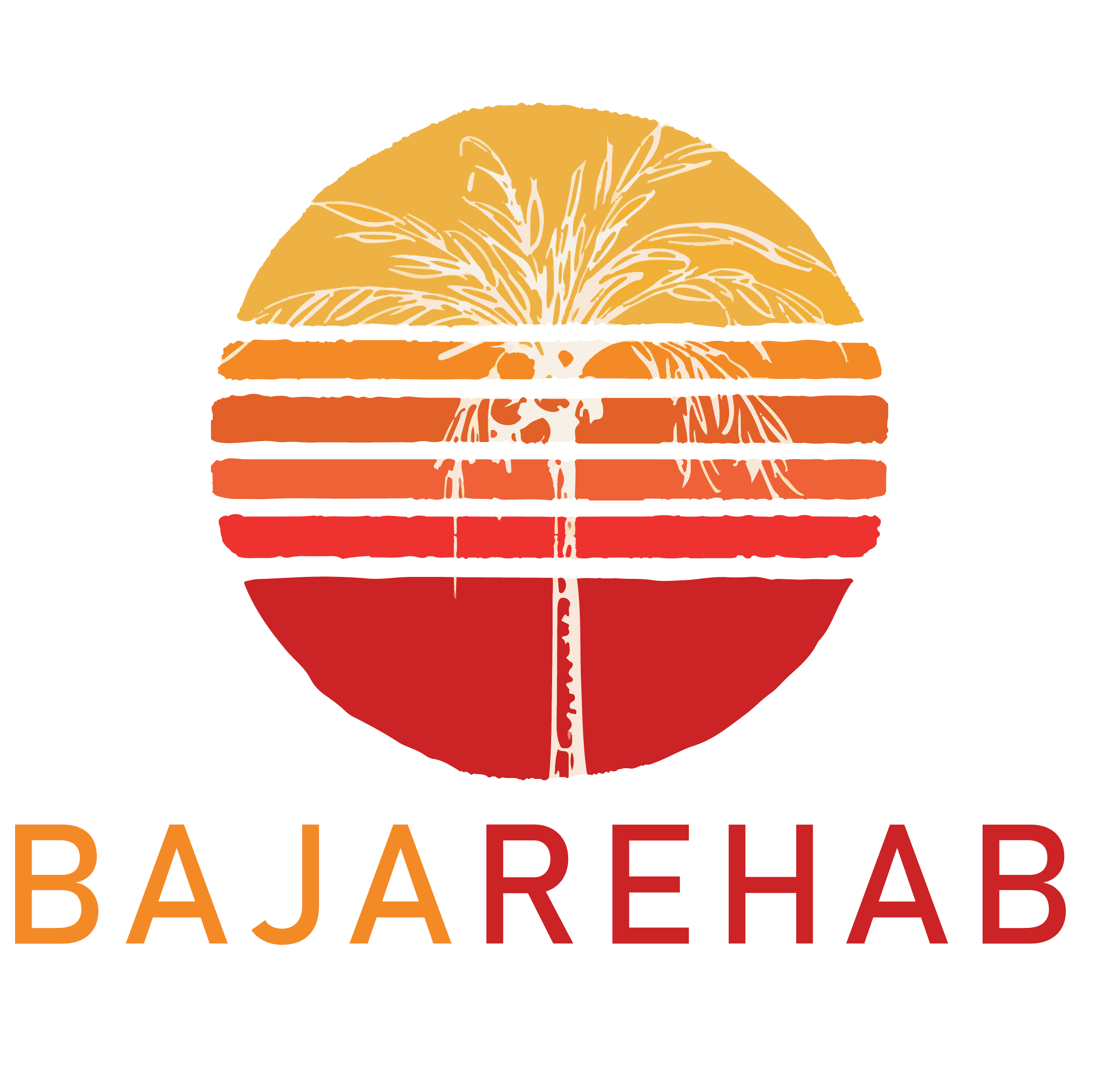 Baja Rehab